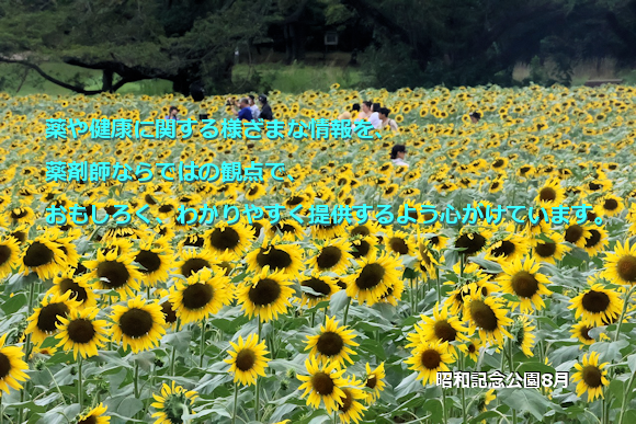 昭和記念公園8月 昭和記念公園8月